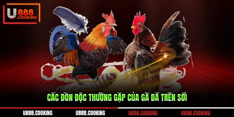 cac-don-doc-thuong-gap-cua-ga-da-tren-soi