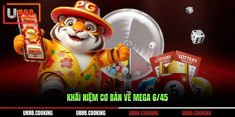 khai-niem-co-ban-ve-mega-6-45