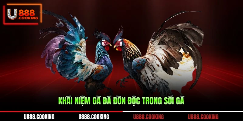 khai-niem-ga-da-don-doc-trong-soi-ga