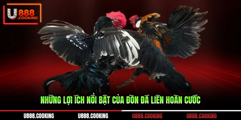 nhung-loi-ich-noi-bat-cua-don-da-lien-hoan-cuoc