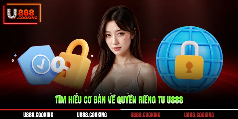 tim-hieu-co-ban-ve-quyen-rieng-tu-u888